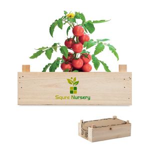 TOMATO Complete Tomato Growing Kit in Wooden Crate