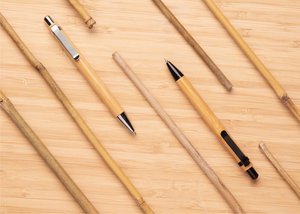 XD Collection P610.32 - Bambusfeder