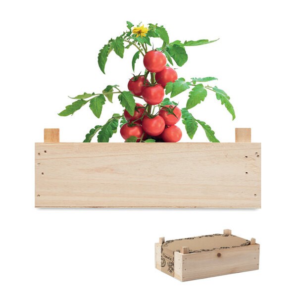TOMATO Saat-Set Tomate - GiftRetail MO6498