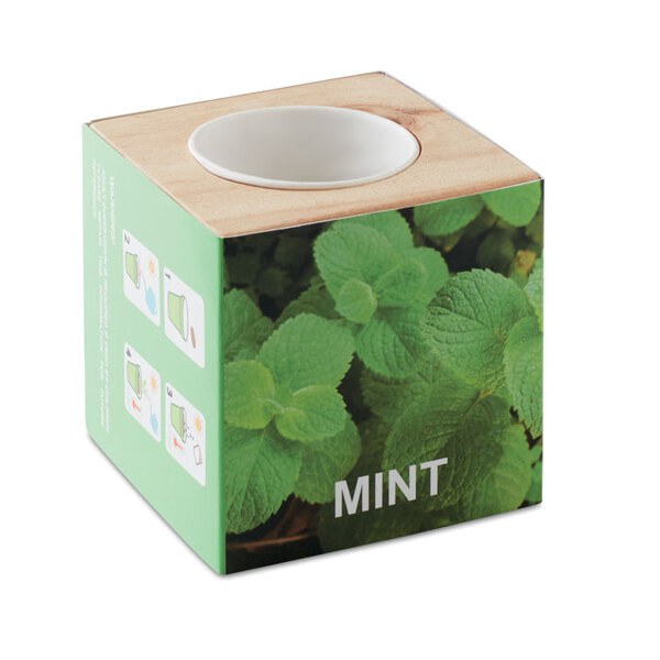 MENTA Kräuterpflanz-Set "Minze'' - GiftRetail MO9337