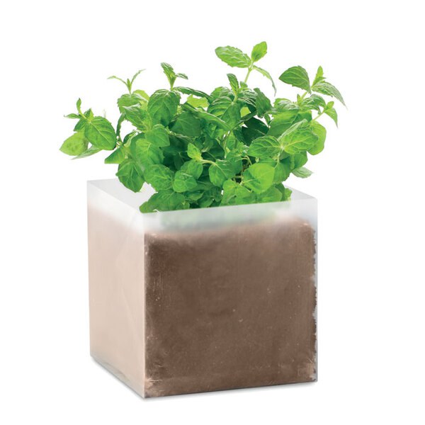MINT Pflanz-Set "Minze" - GiftRetail MO9546