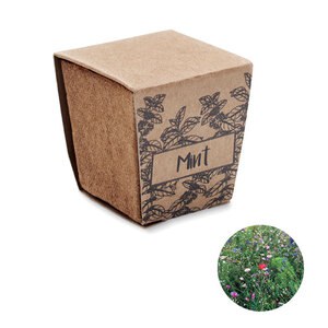 MINT KIT Pflanz-Set Minze - GiftRetail MO2410